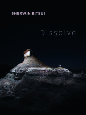 cover image of Dissolve